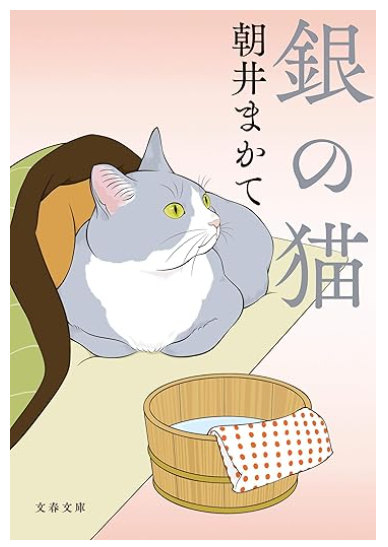 銀の猫 江戸時代の介護小説